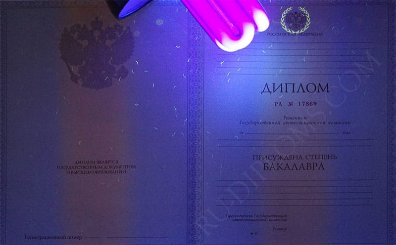 Диплом бакалавра 2010-2013 год  